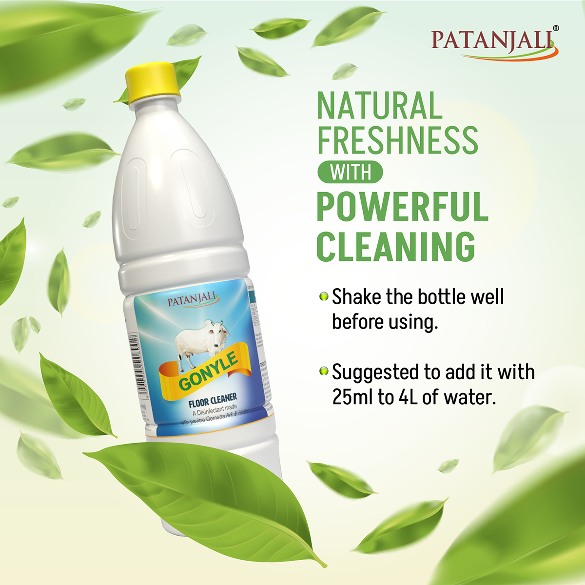 Patanjali Gonyle Floor Cleaner 1LTR