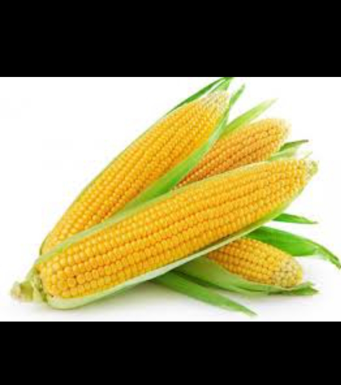 Sweet Corn  500 gm