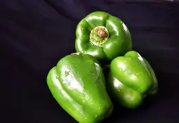 capsicum 250 gm.